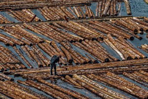 Lumber Worker with Axe